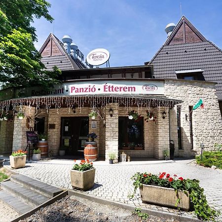 Tercia Hubertus Panzio Bed & Breakfast Sopron Luaran gambar
