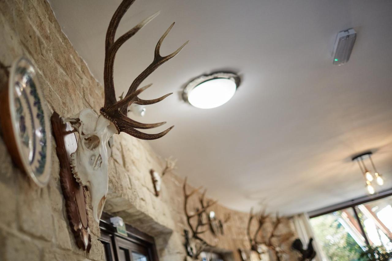 Tercia Hubertus Panzio Bed & Breakfast Sopron Luaran gambar
