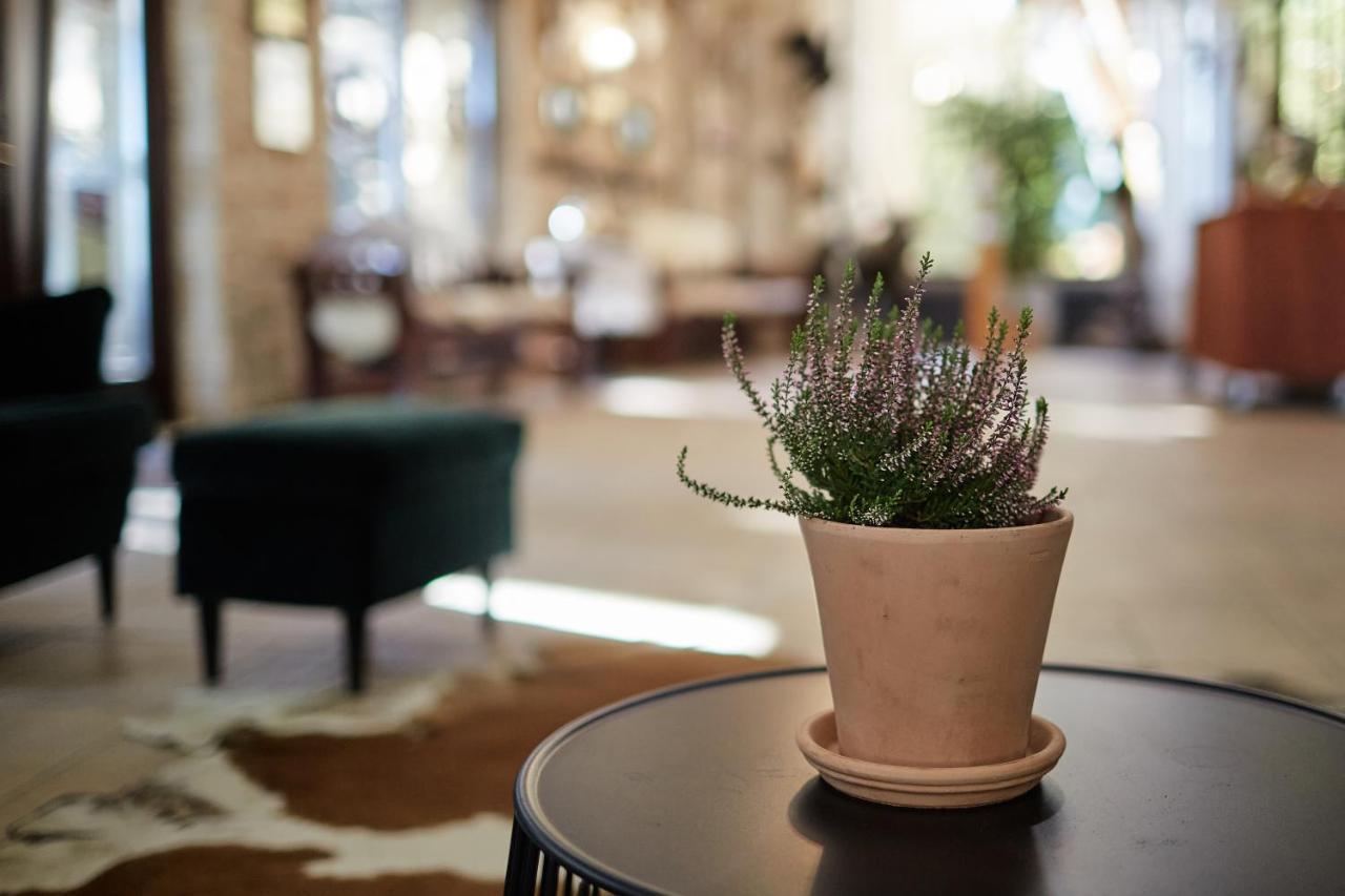 Tercia Hubertus Panzio Bed & Breakfast Sopron Luaran gambar