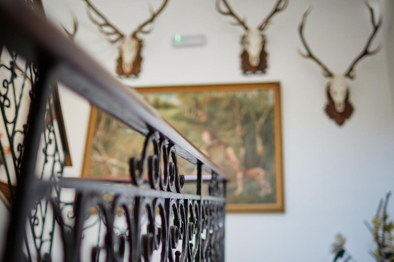 Tercia Hubertus Panzio Bed & Breakfast Sopron Luaran gambar