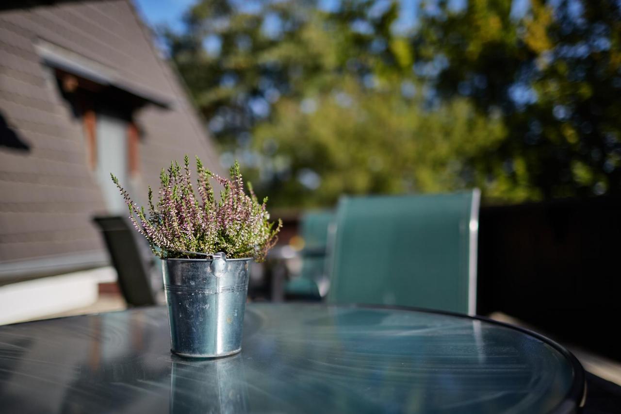 Tercia Hubertus Panzio Bed & Breakfast Sopron Luaran gambar