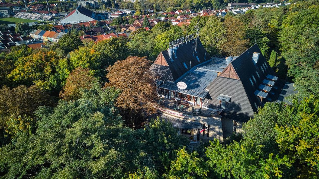 Tercia Hubertus Panzio Bed & Breakfast Sopron Luaran gambar