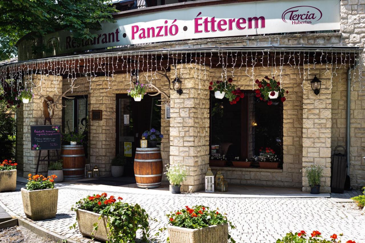 Tercia Hubertus Panzio Bed & Breakfast Sopron Luaran gambar