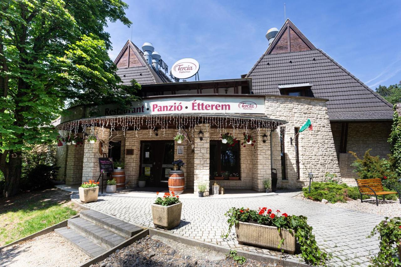 Tercia Hubertus Panzio Bed & Breakfast Sopron Luaran gambar