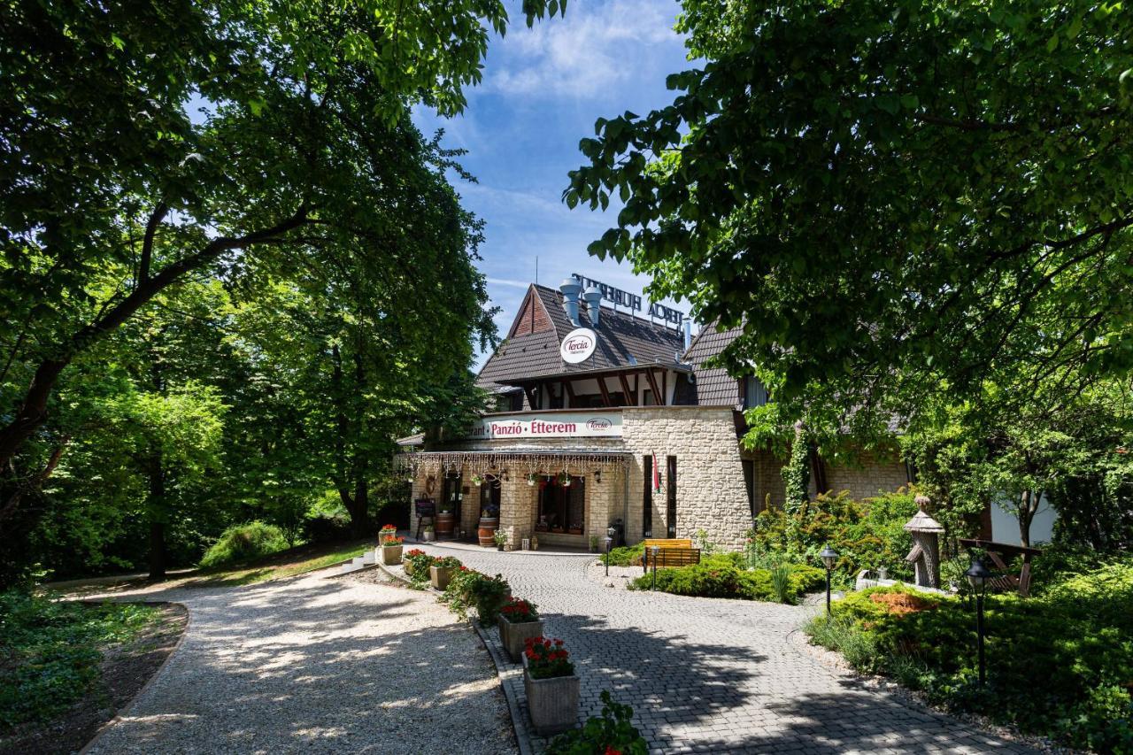 Tercia Hubertus Panzio Bed & Breakfast Sopron Luaran gambar